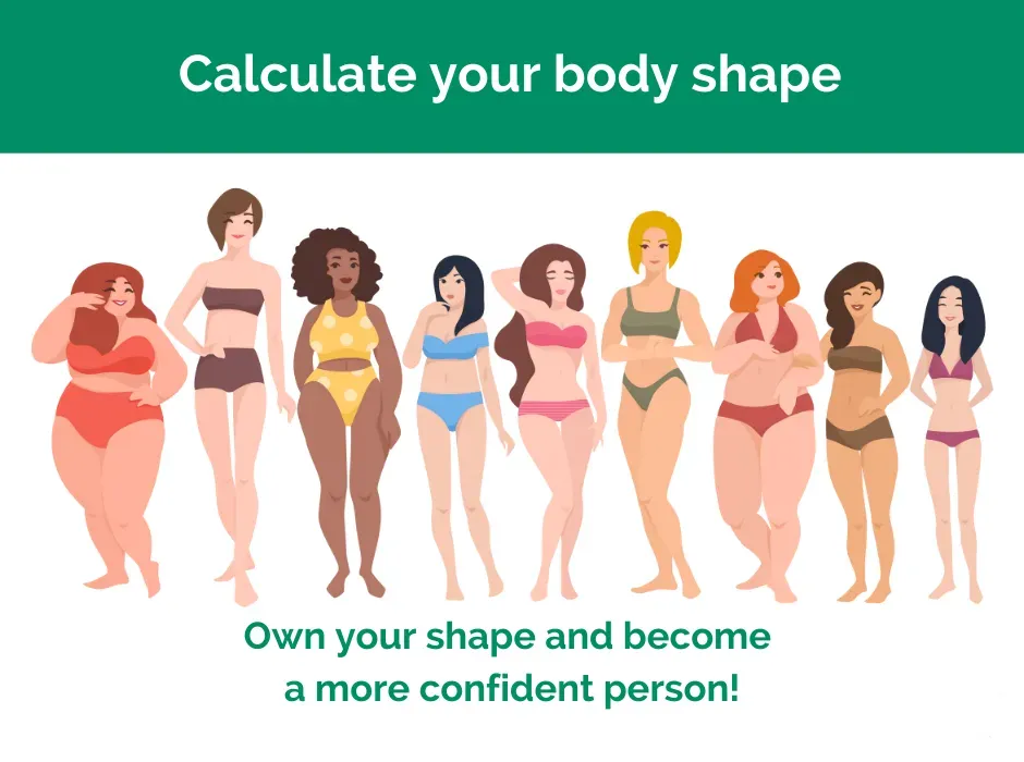 Picture of the body shapes.